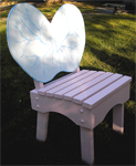 Fairy Wing Chairs & Flower Table